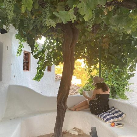 Las Casillas De La Villa Alegrias مونتيفريو المظهر الخارجي الصورة