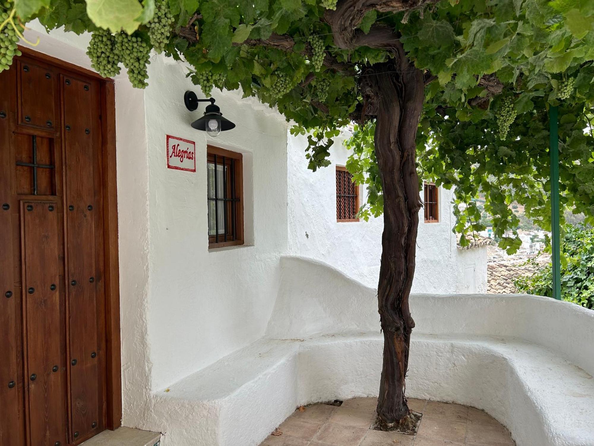 Las Casillas De La Villa Alegrias مونتيفريو المظهر الخارجي الصورة